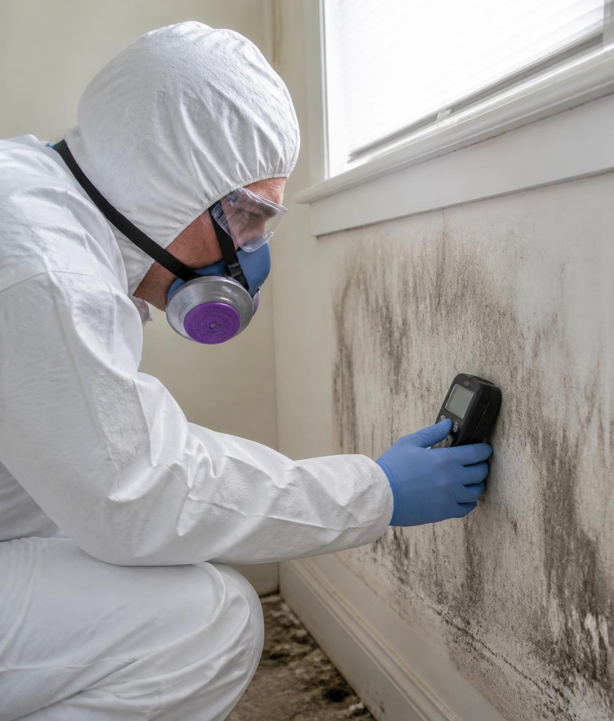 Certified mold inspector testing a Greenwood Indiana home for mold growth